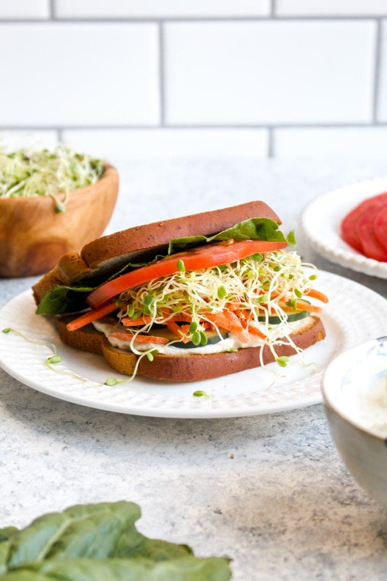 Loaded Veggie Cheese Sandwich